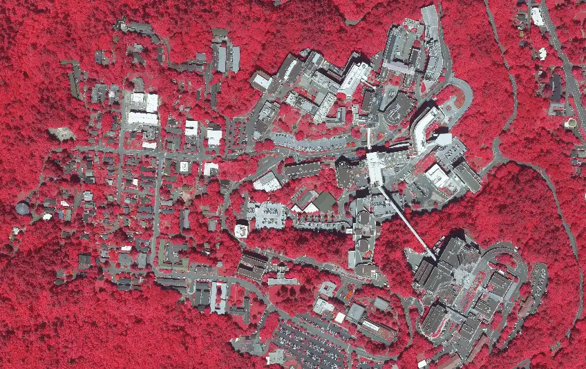 Multispectral Orthophoto-03